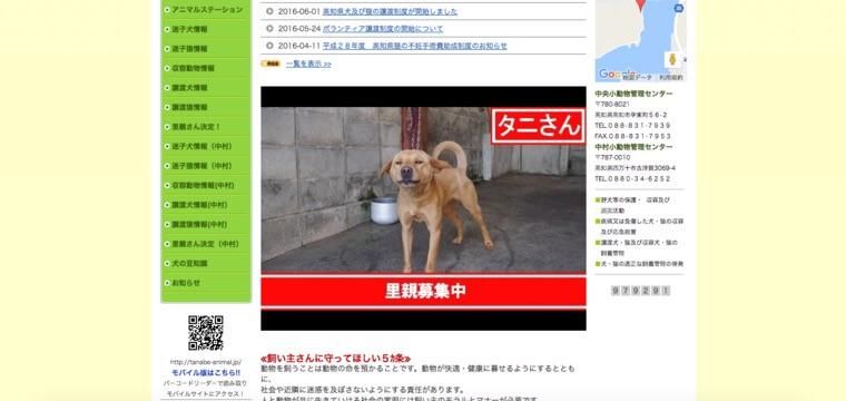 【高知県】県と市の共同で動物愛護センター新設へ　現施設は限界があり「殺処分せざるを得ない状況」